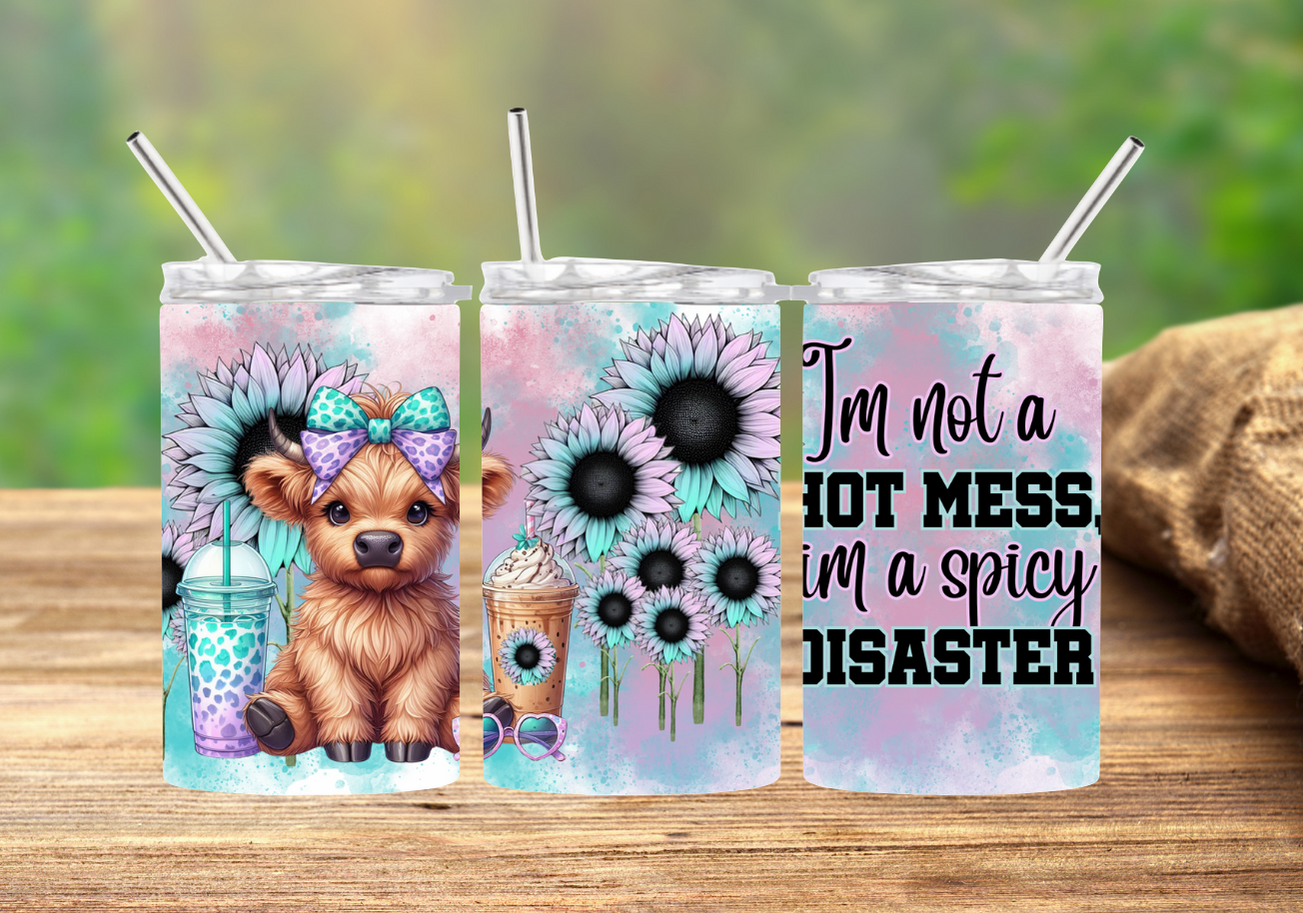 im a HOT MESS im a spicy Disaster 2Face Graphics